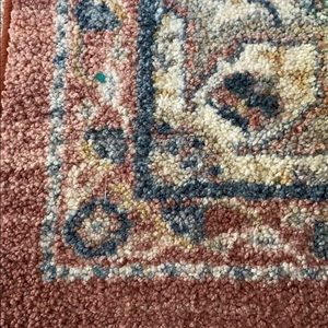 Meet your Posher, Shellayne